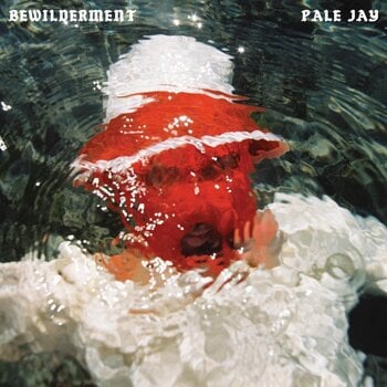 Vinyl Record Pale Jay - Bewilderment (LP) - 1