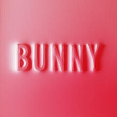 Vinyl Record Matthew Dear - Bunny (2 LP)