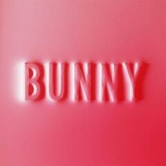 Vinyl Record Matthew Dear - Bunny (Limited Edition) (Splatter Coloured) (2 LP)