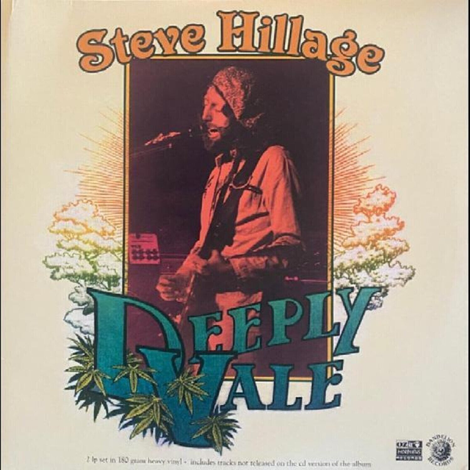 Disco in vinile Steve Hillage - Deeply Vale (Limited Edition) (180 g) (Coloured) (2 LP)