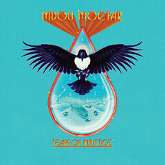 LP ploča Mdou Moctar - Tears Of Injustice (Limited Edition) (LP)