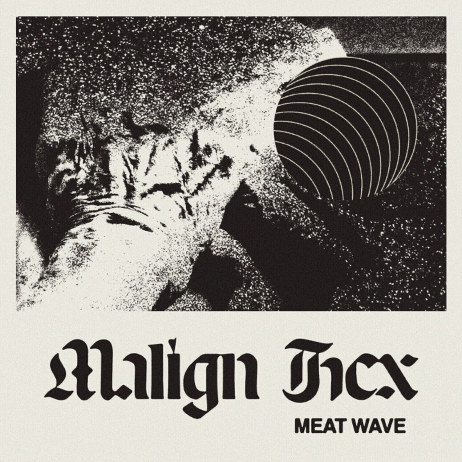 Vinüülplaat Meat Wave - Malign Hex (LP)