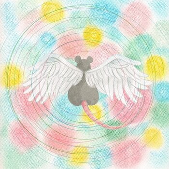 Vinilinė plokštelė Mei Semones - Animaru (LP) - 1