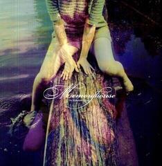 Vinyl Record Memoryhouse - The Slideshow Effect (LP)