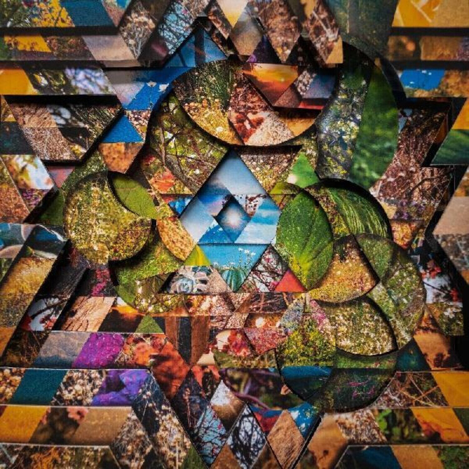 LP ploča Miguel Atwood-Ferguson -  Les Jardins Mystiques Vol.1 (Limited Edition) (4 LP)