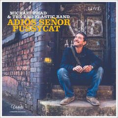 Vinyl Record Michael Head & The Red Elastic Band - Adiós Señor Pussycat (Limited Edition) (LP)