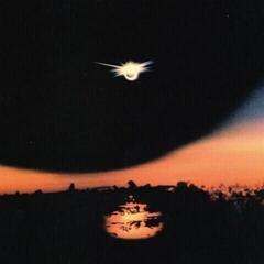 LP ploča Mirrorring - Foreign Body (LP)