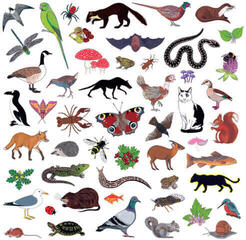 Disque vinyle Modern Nature - Island Of Noise (LP)