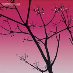 Vinüülplaat Motorpsycho - Phanerothyme (Reissue) (LP)