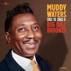Vinylskiva Muddy Waters - Muddy Waters Sings The Songs Of Big Bill Broonzy (LP)