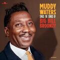 Muddy Waters - Muddy Waters Sings The Songs Of Big Bill Broonzy (LP)