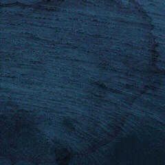 Vinyl Record Multicast Dynamics - Aquatic System (Limited Edition) (180 g) (2 LP)