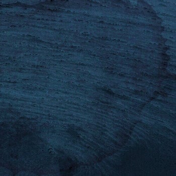 Vinüülplaat Multicast Dynamics - Aquatic System (Limited Edition) (180 g) (2 LP) - 1