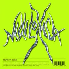 Vinyl Record Nihiloxica - Source Of Denial (LP)