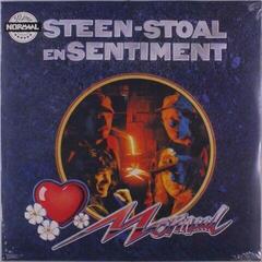 Вінілові платівки Normaal - Steen-Stoal En Sentiment (Coloured) (LP)