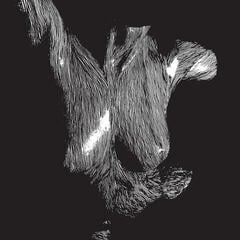 Vinyylilevy Oceansize - Self Preserved While The Bodies Float Up (Reissue) (3 LP)