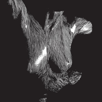 Vinyylilevy Oceansize - Self Preserved While The Bodies Float Up (Reissue) (3 LP) - 1