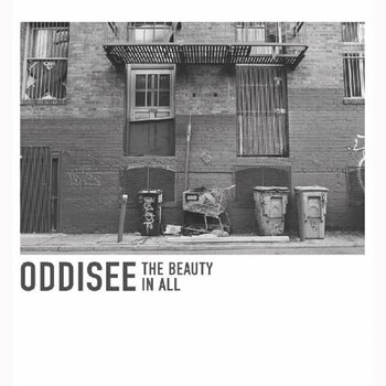 Vinylskiva Oddisee - The Beauty In All (Reissue) (Royal Purple Coloured) (LP) - 1