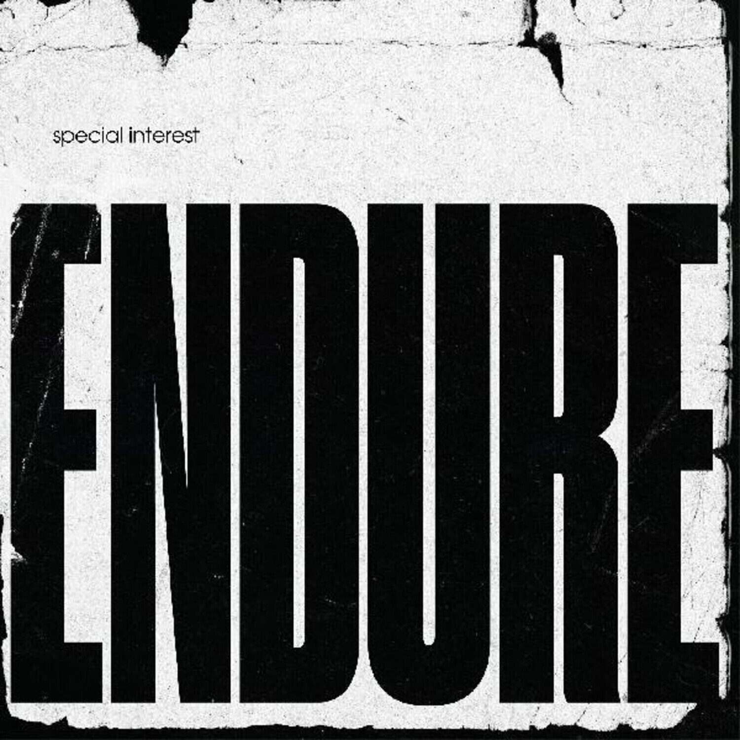 Vinyl Record Special Interest - Endure (Limited Edition) (LP)