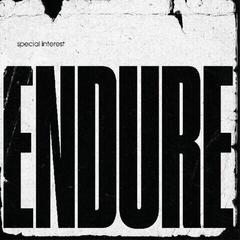 Vinyl Record Special Interest - Endure (Limited Edition) (LP)