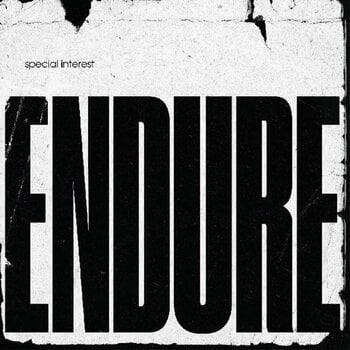 Vinyl Record Special Interest - Endure (Limited Edition) (LP) - 1