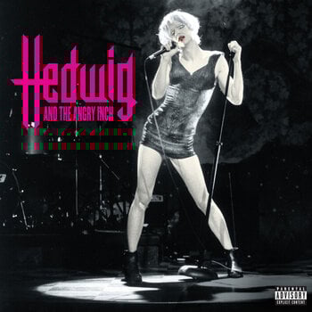 Disco in vinile Hedwig And The Angry Inch - Hedwig And The Angry Inch (Original Cast Recording) (Pink Coloured) (2 LP) - 1