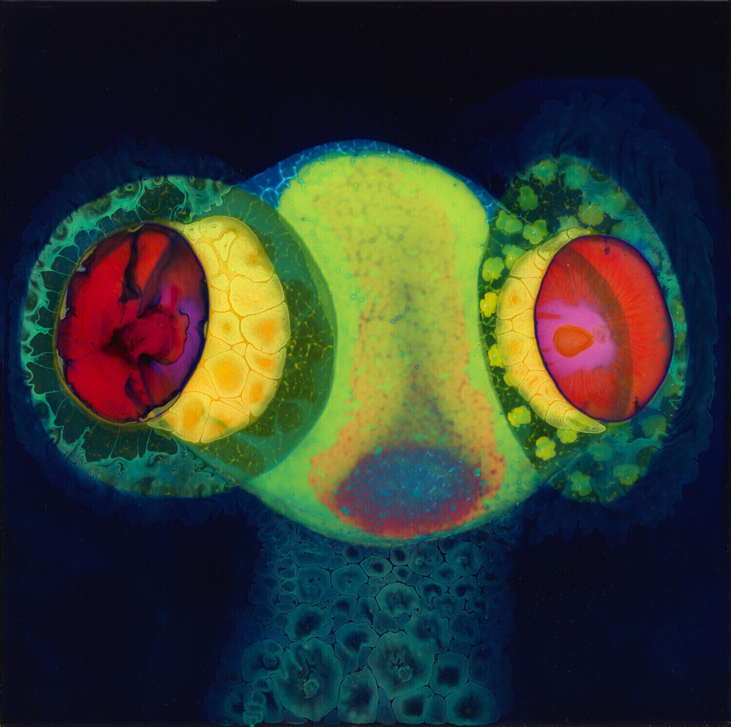 Disco in vinile Thee Oh Sees - SORCS 80 (LP)