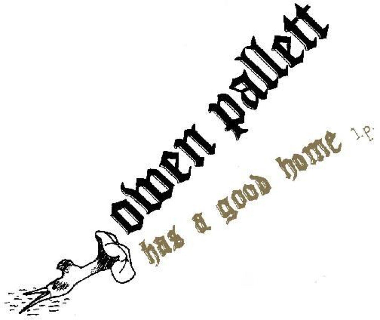 Schallplatte Owen Pallett - Has A Good Home (Reissue) (LP)