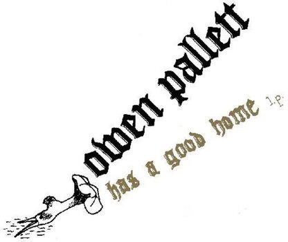 Schallplatte Owen Pallett - Has A Good Home (Reissue) (LP) - 1
