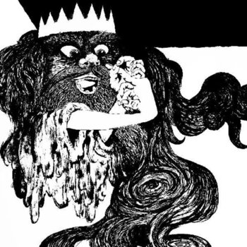 Vinylskiva Owen Pallett - He Poos Clouds (Reissue) (LP) - 1