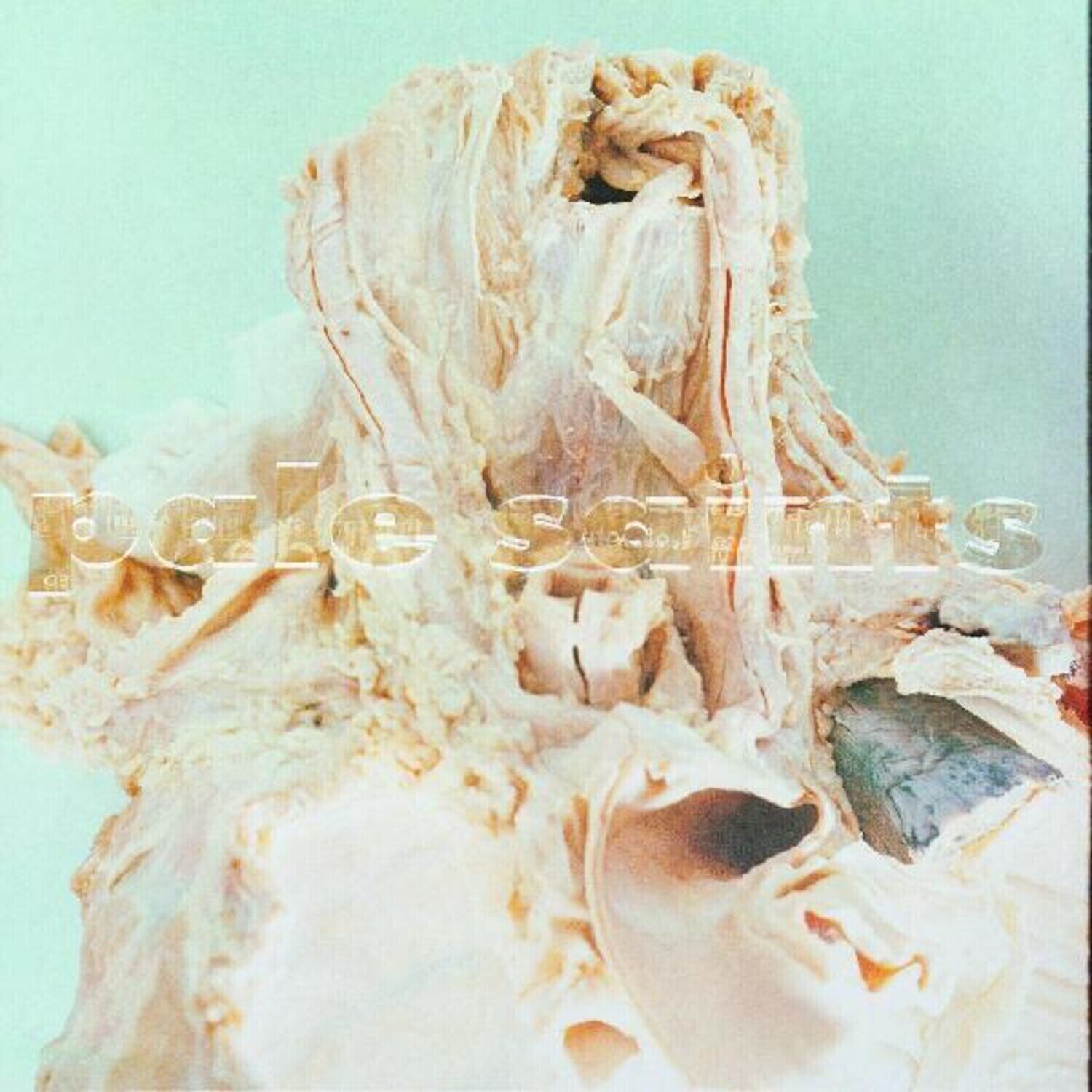 Schallplatte Pale Saints - In Ribbons (30th Anniversary Re:Masters) (Reissue) (LP)