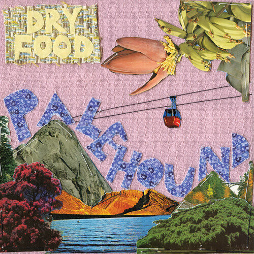 Schallplatte Palehound - Dry Food (Neon Green Coloured) (LP)
