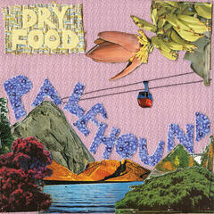 Schallplatte Palehound - Dry Food (Neon Green Coloured) (LP)