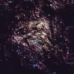 Disque vinyle Psychonaut - Unfold The God Man (Limited Edition) (2 LP)