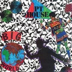 LP deska Pt House - Big World (LP)