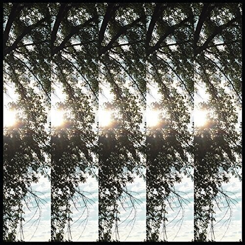 Disco de vinil Pontiak - Dialectic Of Ignorance (LP)