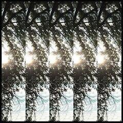 Disco de vinil Pontiak - Dialectic Of Ignorance (LP)