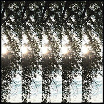 Disco de vinil Pontiak - Dialectic Of Ignorance (LP) - 1