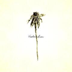Vinylskiva Patrick Watson - Wooden Arms (Reissue) (140 g) (LP)