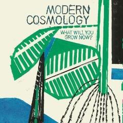 Disque vinyle Modern Cosmology - What Will You Grow Now? (Limited Edition) (LP)