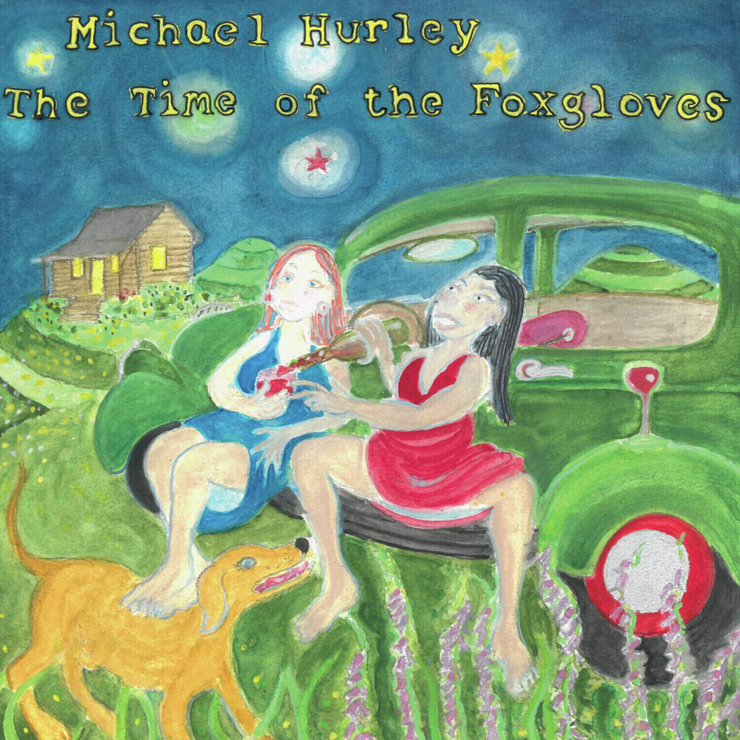 Disque vinyle Michael Hurley - The Time Of The Foxgloves (LP)