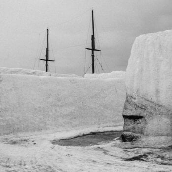 Vinyl Record Nyos - Nature (LP) - 1