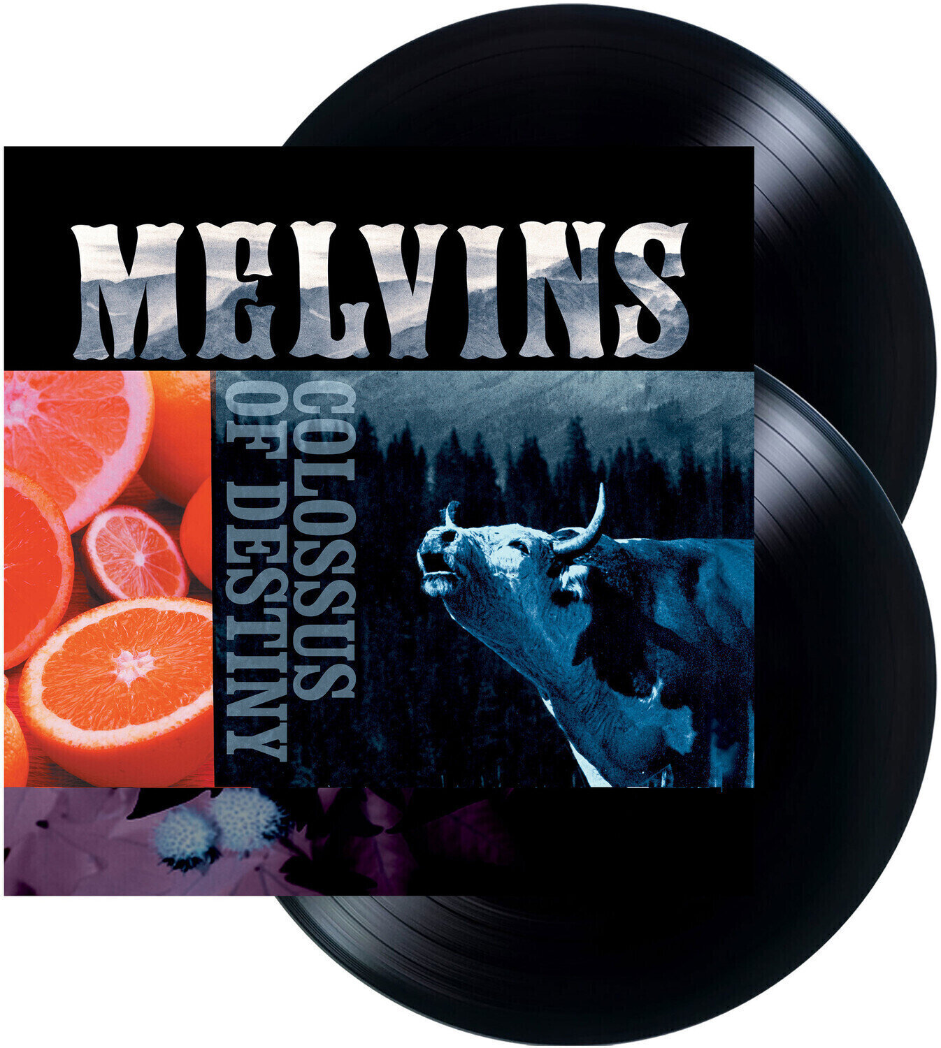 Vinyylilevy The Melvins - Colossus Of Destiny (Reissue) (2 LP)