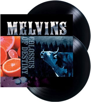 Vinyylilevy The Melvins - Colossus Of Destiny (Reissue) (2 LP) - 1