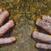 LP deska Richard Youngs - Autumn Response (LP)