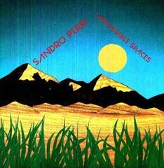 Disco in vinile Sandro Perri - Impossible Spaces (LP)