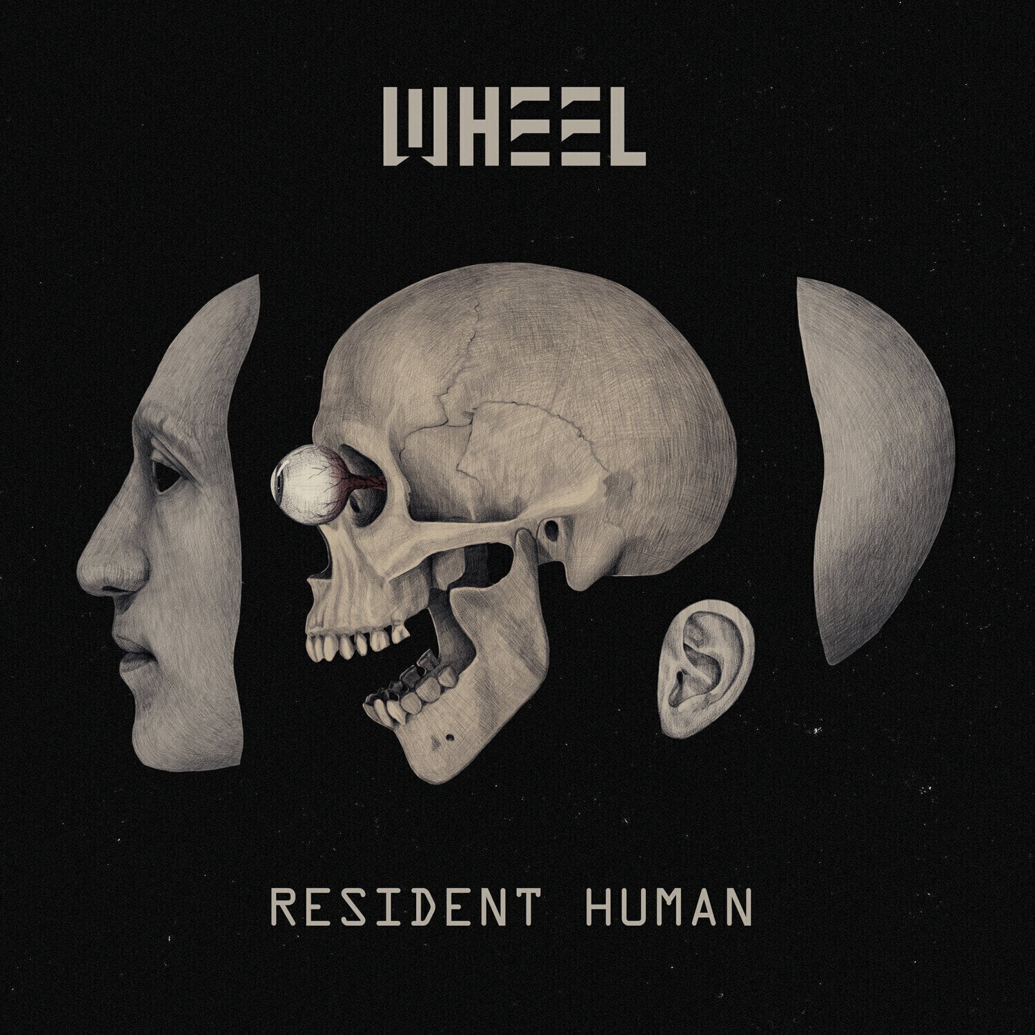 Vinyl Record The Wheel - Resident Human (180 g) (2 LP)
