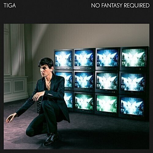 Vinyl Record Tiga - No Fantasy Required (2 LP)