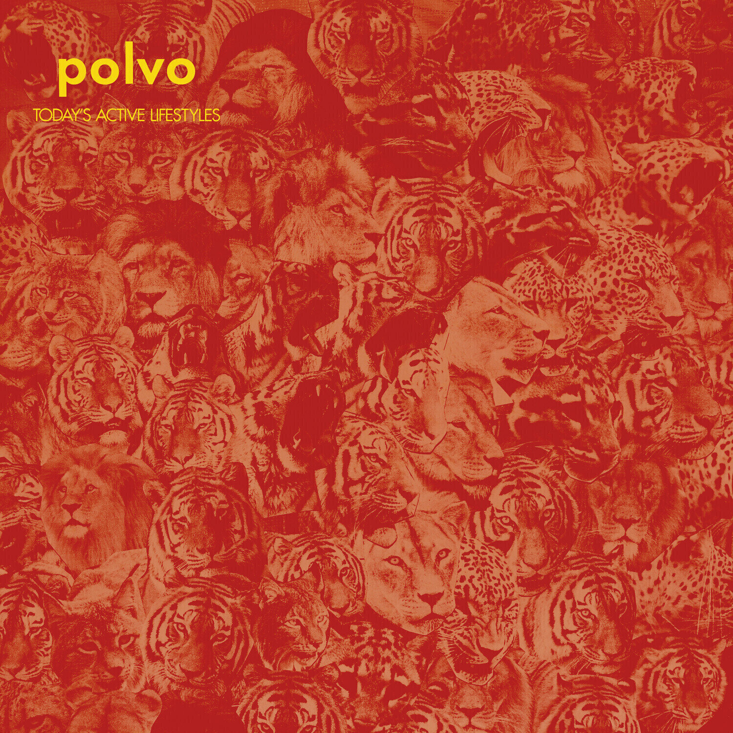 Disque vinyle Polvo - Today's Active Lifestyles (Reissue) (Limited Edition) (LP)