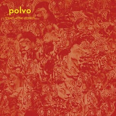 Vinylskiva Polvo - Today's Active Lifestyles (Reissue) (Limited Edition) (LP)